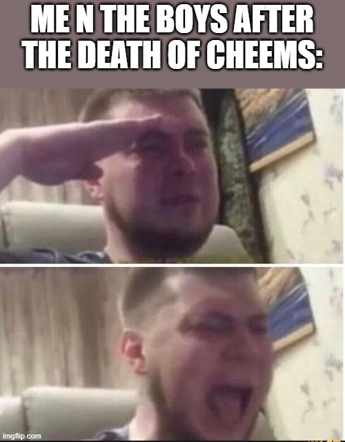 :( | ME N THE BOYS AFTER THE DEATH OF CHEEMS: | image tagged in crying salute | made w/ Imgflip meme maker