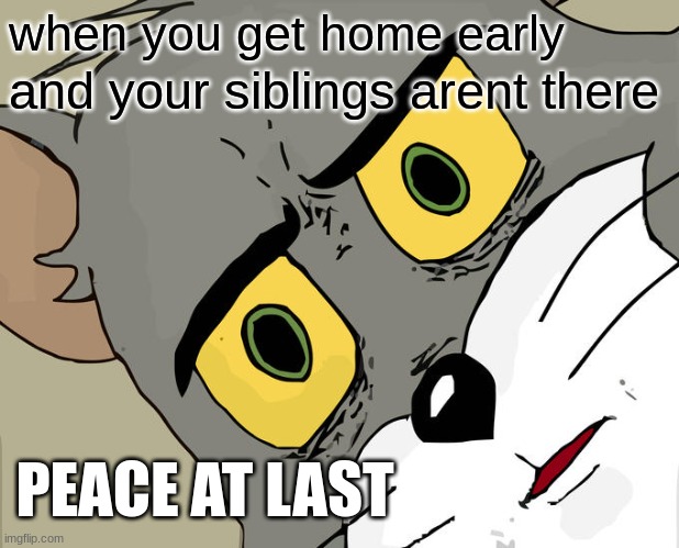 Peace At Last | when you get home early; and your siblings arent there; PEACE AT LAST | image tagged in memes,unsettled tom,funny,relatable memes,relatable,funny memes | made w/ Imgflip meme maker
