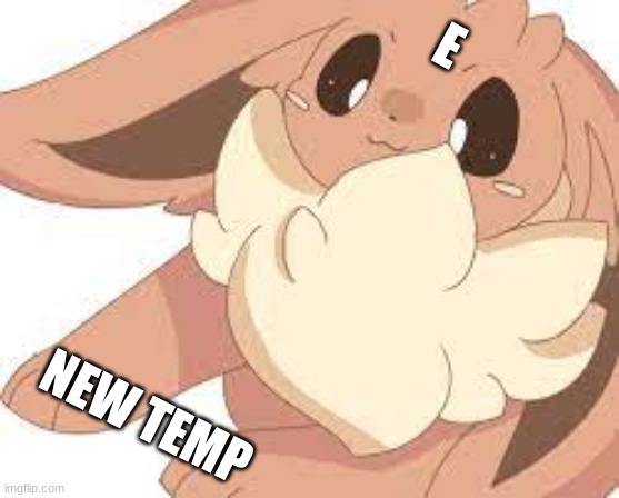 new temp :D | E; NEW TEMP | image tagged in chilling eeevee | made w/ Imgflip meme maker