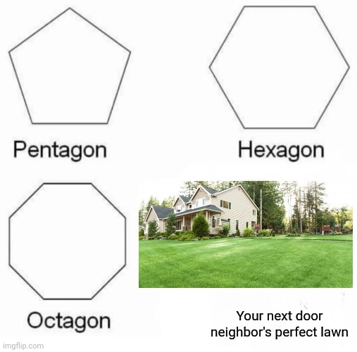 Perfect lawn | Your next door neighbor's perfect lawn | image tagged in memes,pentagon hexagon octagon | made w/ Imgflip meme maker