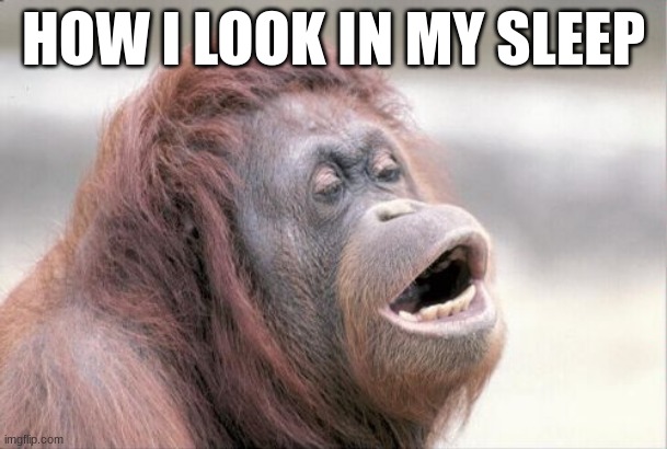 How i look in my sleep | HOW I LOOK IN MY SLEEP | image tagged in memes,monkey ooh | made w/ Imgflip meme maker