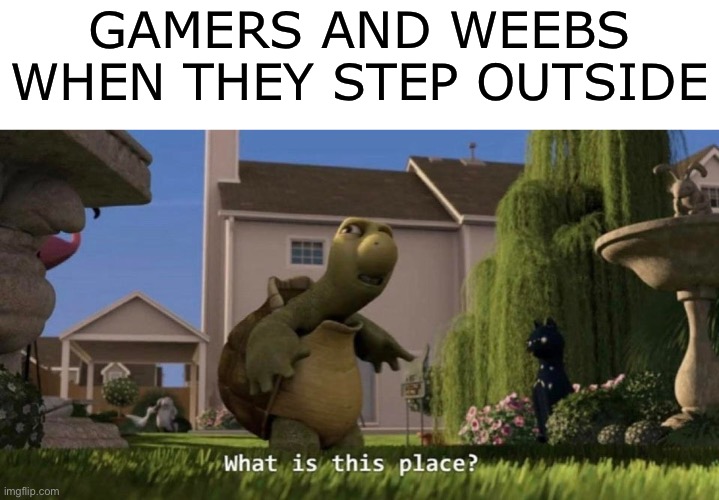 Jk | GAMERS AND WEEBS WHEN THEY STEP OUTSIDE | image tagged in what is this place,gamers,weebs,memes,funny,funny memes | made w/ Imgflip meme maker