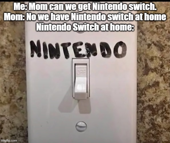 I mean It's better than nothing | Me: Mom can we get Nintendo switch.
Mom: No we have Nintendo switch at home
Nintendo Switch at home: | image tagged in memes | made w/ Imgflip meme maker