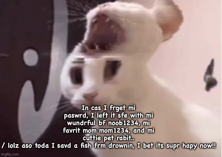 Shocked cat | In cas I frget mi paswrd, I left it sfe with mi wundrful bf noob1234, mi favrit mom mom1234, and mi cuttie pet rabit..
/ lolz aso toda I savd a fish frm drownin, I bet its supr hapy now!! | image tagged in shocked cat | made w/ Imgflip meme maker
