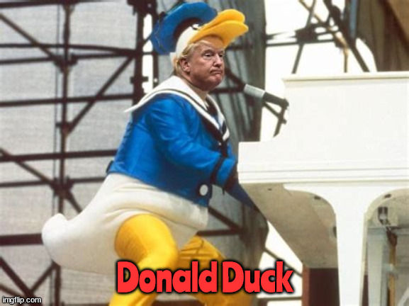 Donald Duck/Trump | Donald Duck | image tagged in donald trump,coward,donald duck,maga,debates,mia | made w/ Imgflip meme maker