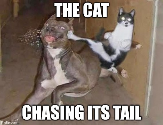 Cat dog | THE CAT; CHASING ITS TAIL | image tagged in get rekt | made w/ Imgflip meme maker