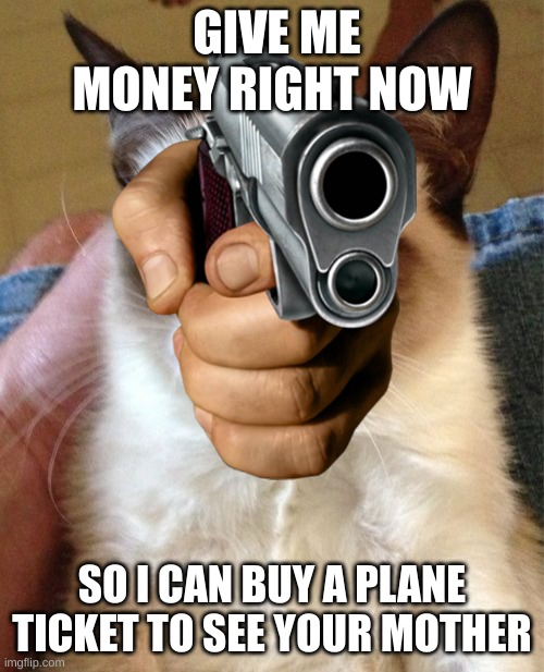 yes | GIVE ME MONEY RIGHT NOW; SO I CAN BUY A PLANE TICKET TO SEE YOUR MOTHER | image tagged in memes,grumpy cat | made w/ Imgflip meme maker