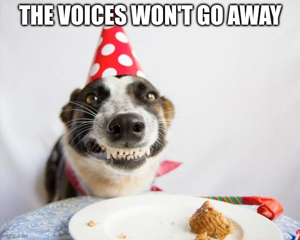 birthday dog | THE VOICES WON'T GO AWAY | image tagged in birthday dog | made w/ Imgflip meme maker