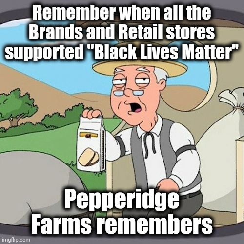 Reap what you sow | Remember when all the Brands and Retail stores supported "Black Lives Matter"; Pepperidge Farms remembers | image tagged in memes,pepperidge farm remembers,blm,best friends,what did it cost,looting | made w/ Imgflip meme maker