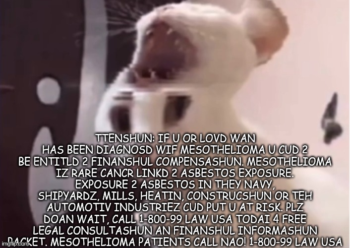 Shocked cat | TTENSHUN: IF U OR LOVD WAN HAS BEEN DIAGNOSD WIF MESOTHELIOMA U CUD 2 BE ENTITLD 2 FINANSHUL COMPENSASHUN. MESOTHELIOMA IZ RARE CANCR LINKD 2 ASBESTOS EXPOSURE. EXPOSURE 2 ASBESTOS IN THEY NAVY, SHIPYARDZ, MILLS, HEATIN, CONSTRUCSHUN OR TEH AUTOMOTIV INDUSTRIEZ CUD PUT U AT RISK. PLZ DOAN WAIT, CALL 1-800-99 LAW USA TODAI 4 FREE LEGAL CONSULTASHUN AN FINANSHUL INFORMASHUN PACKET. MESOTHELIOMA PATIENTS CALL NAO! 1-800-99 LAW USA | image tagged in shocked cat | made w/ Imgflip meme maker