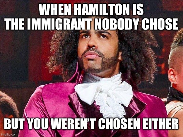 Daveed Diggs | WHEN HAMILTON IS THE IMMIGRANT NOBODY CHOSE; BUT YOU WEREN’T CHOSEN EITHER | image tagged in daveed diggs | made w/ Imgflip meme maker