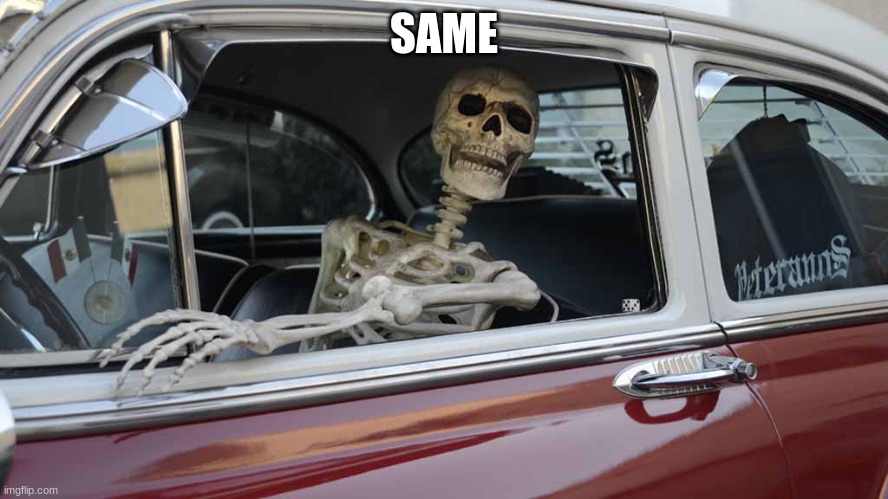 Waiting Skeleton Car | SAME | image tagged in waiting skeleton car | made w/ Imgflip meme maker