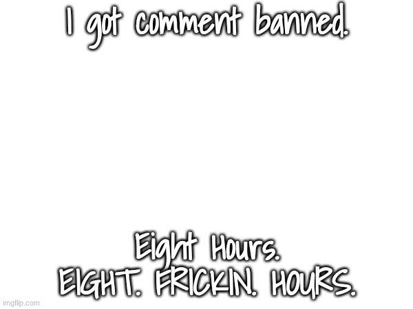 Bruh | I got comment banned. Eight Hours. EIGHT. FRICKIN. HOURS. | image tagged in why,comment ban | made w/ Imgflip meme maker