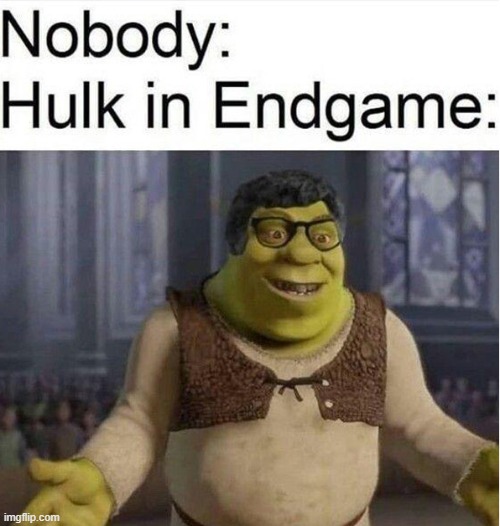 these are confusing times haha | image tagged in hulk,bruce banner,marvel,avengers endgame,oh wow are you actually reading these tags | made w/ Imgflip meme maker