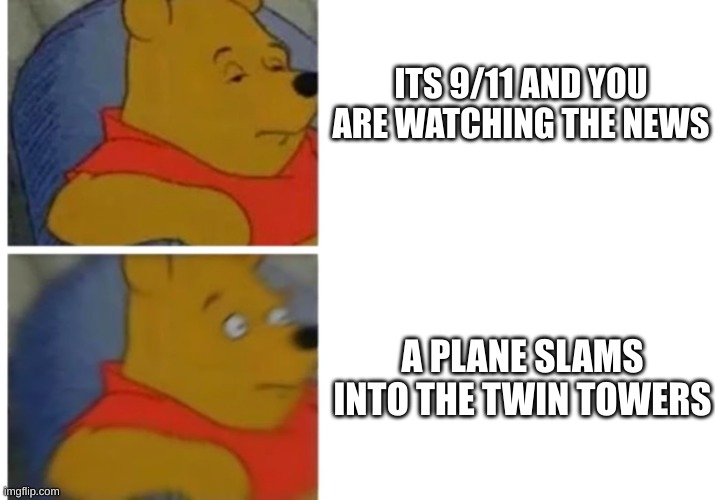 9/11 Pooh | ITS 9/11 AND YOU ARE WATCHING THE NEWS; A PLANE SLAMS INTO THE TWIN TOWERS | image tagged in shocked pooh,winnie the pooh,9/11 | made w/ Imgflip meme maker