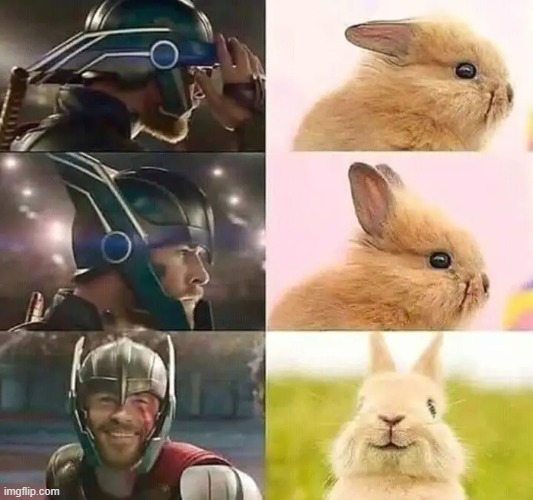 thor: god of bunnies | image tagged in thor ragnarok,marvel,bunny,aww,oh wow are you actually reading these tags | made w/ Imgflip meme maker