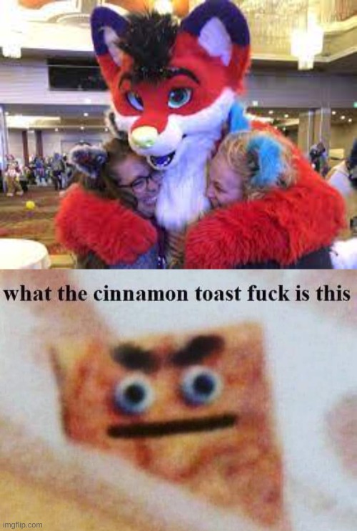 furries be like | image tagged in what the cinnamon toast f is this | made w/ Imgflip meme maker