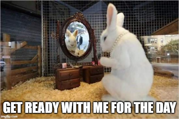 Get Ready | GET READY WITH ME FOR THE DAY | image tagged in bunny | made w/ Imgflip meme maker