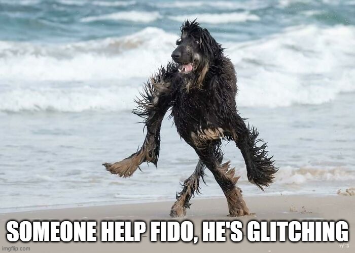 Glitch | SOMEONE HELP FIDO, HE'S GLITCHING | image tagged in funny dog | made w/ Imgflip meme maker