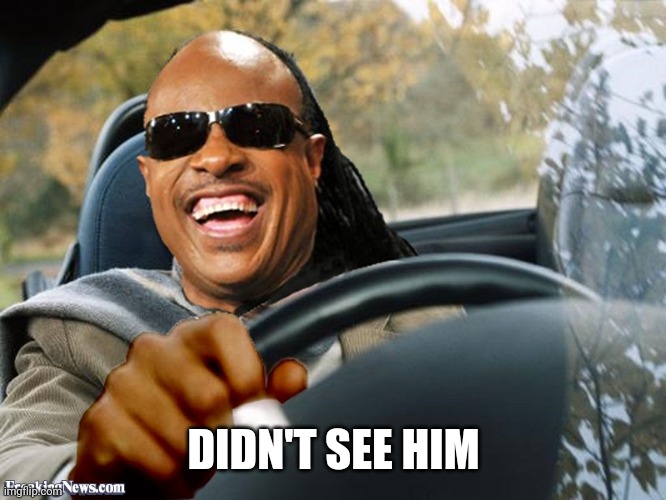 Stevie Wonder Driving | DIDN'T SEE HIM | image tagged in stevie wonder driving | made w/ Imgflip meme maker
