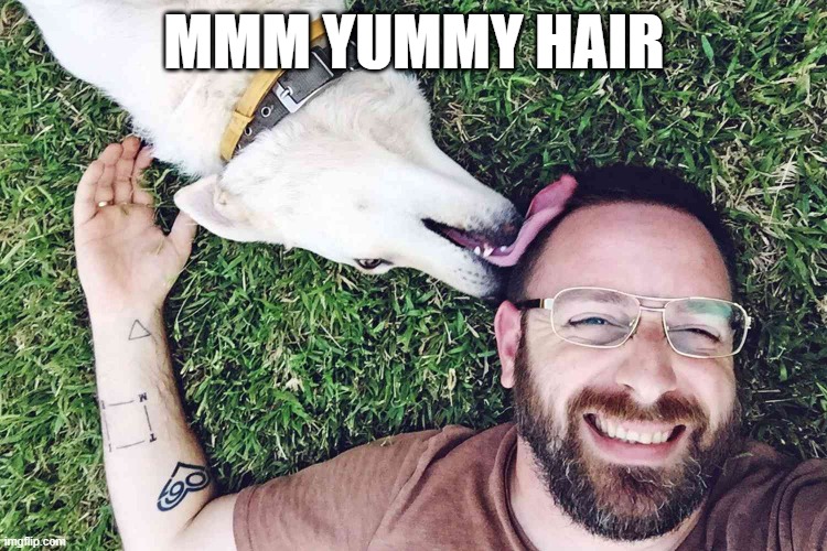 Lick Lick Lick | MMM YUMMY HAIR | image tagged in funny dogs | made w/ Imgflip meme maker