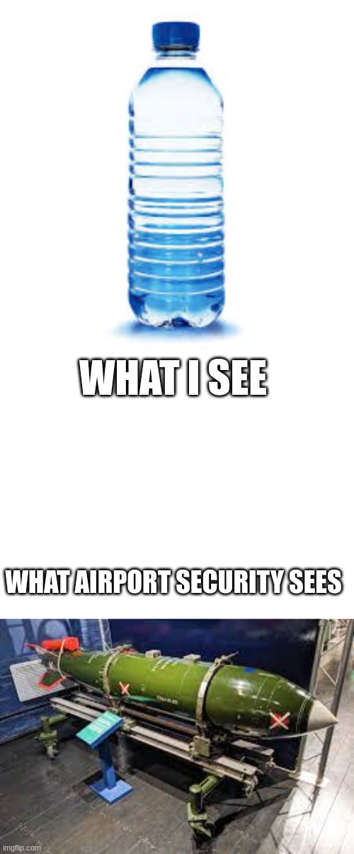 WHAT I SEE; WHAT AIRPORT SECURITY SEES | made w/ Imgflip meme maker