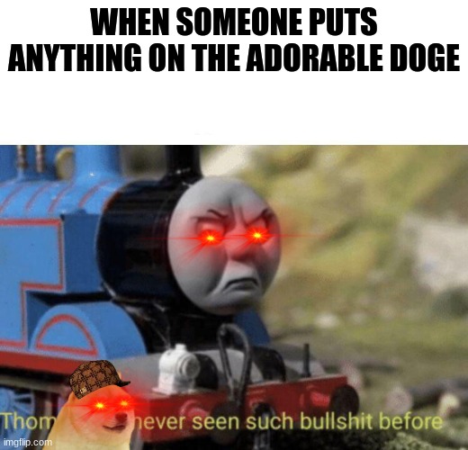 Seriously tho | WHEN SOMEONE PUTS ANYTHING ON THE ADORABLE DOGE | image tagged in thomas had never seen such bullshit before | made w/ Imgflip meme maker