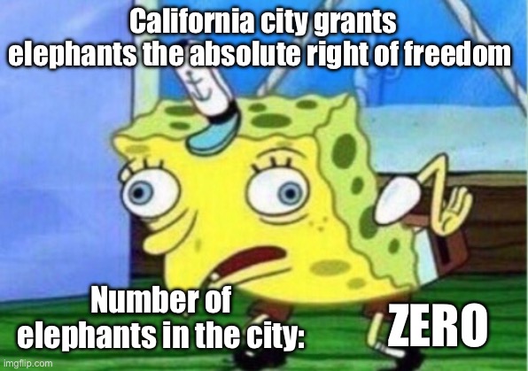 They actually bragged about the great good they were doing. | California city grants elephants the absolute right of freedom; ZERO; Number of elephants in the city: | image tagged in mocking spongebob,stupid liberals,politics,elephants,liberal logic,liberal hypocrisy | made w/ Imgflip meme maker
