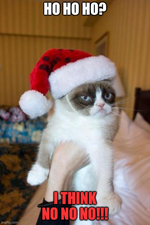 Grumpy Cat Christmas | HO HO HO? I THINK NO NO NO!!! | image tagged in memes,grumpy cat christmas,grumpy cat | made w/ Imgflip meme maker