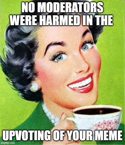 Mom | NO MODERATORS WERE HARMED IN THE UPVOTING OF YOUR MEME | image tagged in mom | made w/ Imgflip meme maker