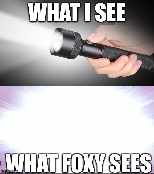 what foxy see's | WHAT I SEE; WHAT FOXY SEES | image tagged in goofy ahh,why are you reading this,funny memes,fun,funny | made w/ Imgflip meme maker