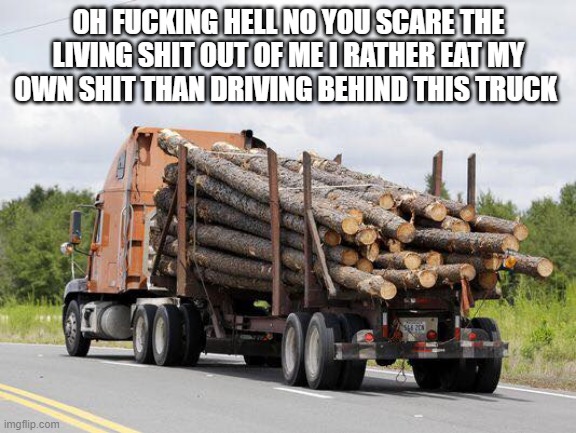 Log Truck Nope Final Destination | OH FUCKING HELL NO YOU SCARE THE LIVING SHIT OUT OF ME I RATHER EAT MY OWN SHIT THAN DRIVING BEHIND THIS TRUCK | image tagged in log truck nope final destination,final destination | made w/ Imgflip meme maker