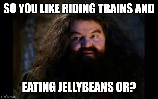 Hagrid to Harry | SO YOU LIKE RIDING TRAINS AND; EATING JELLYBEANS OR? | image tagged in hagrid yer a wizard,harry potter,hagrid,you're a wizard harry,muggles,wizard | made w/ Imgflip meme maker