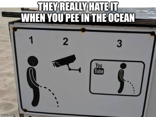 lifeguard be going crazy | THEY REALLY HATE IT WHEN YOU PEE IN THE OCEAN | image tagged in funny,memes,dank memes,discord | made w/ Imgflip meme maker