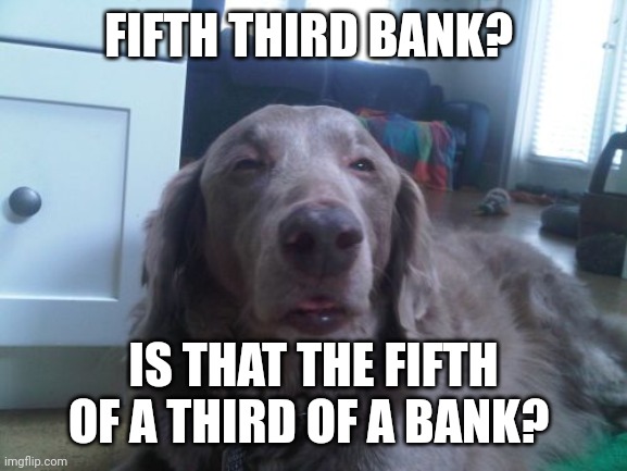 High Dog Meme | FIFTH THIRD BANK? IS THAT THE FIFTH OF A THIRD OF A BANK? | image tagged in memes,high dog | made w/ Imgflip meme maker