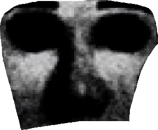 Png scary face transparency Blank Template - Imgflip