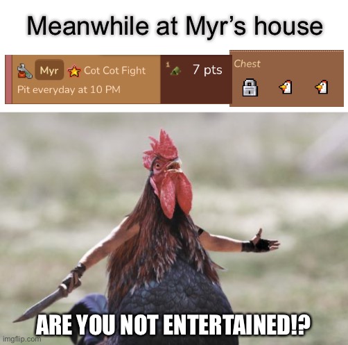 Chicken fight in MH | Meanwhile at Myr’s house; ARE YOU NOT ENTERTAINED!? | image tagged in blank white template,gladiator chicken,myhordes,hordes,die2night,chicken | made w/ Imgflip meme maker