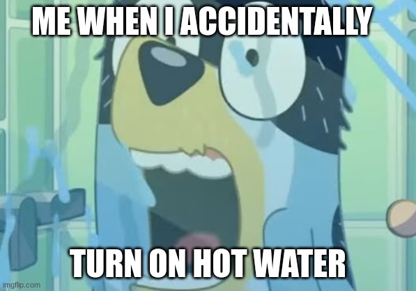 ah shomples | ME WHEN I ACCIDENTALLY; TURN ON HOT WATER | image tagged in shower,memes,funny memes,bandit,bluey,bruh moment | made w/ Imgflip meme maker