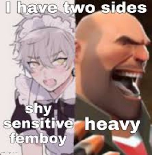 annihilate the femboy part because im an actual female - Imgflip