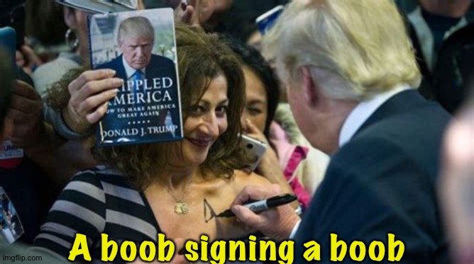 One boob to another | A boob signing a boob | image tagged in trump signing boob | made w/ Imgflip meme maker