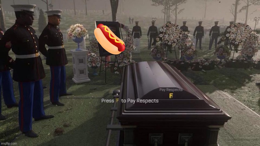Press F to Pay Respects | image tagged in press f to pay respects | made w/ Imgflip meme maker