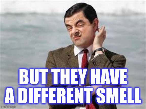 Mr Bean Sarcastic | BUT THEY HAVE A DIFFERENT SMELL | image tagged in mr bean sarcastic | made w/ Imgflip meme maker