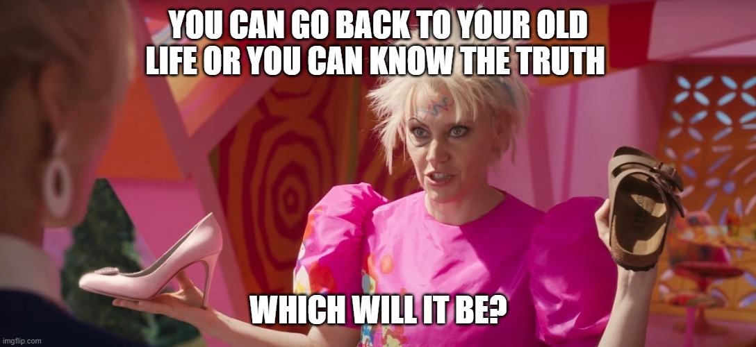 Barbie shoe choice | YOU CAN GO BACK TO YOUR OLD LIFE OR YOU CAN KNOW THE TRUTH; WHICH WILL IT BE? | image tagged in barbie shoe choice | made w/ Imgflip meme maker