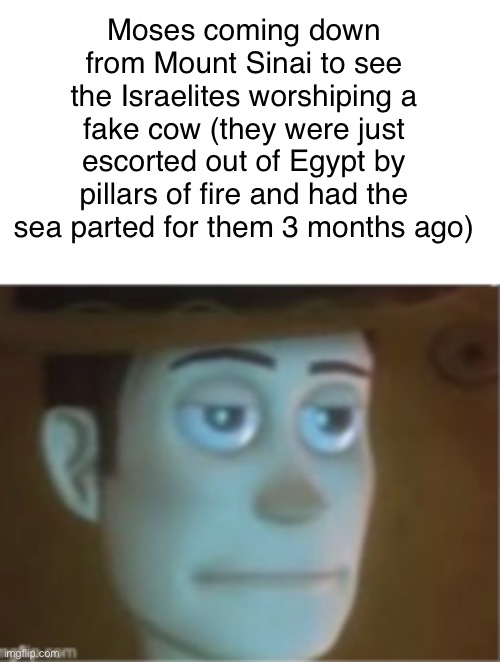 Major bruh moment | Moses coming down from Mount Sinai to see the Israelites worshiping a fake cow (they were just escorted out of Egypt by pillars of fire and had the sea parted for them 3 months ago) | image tagged in woody dissappinted stare,moses | made w/ Imgflip meme maker