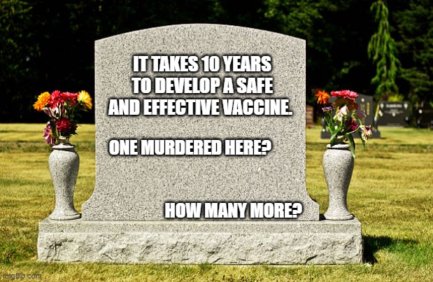 Headstone | IT TAKES 10 YEARS TO DEVELOP A SAFE AND EFFECTIVE VACCINE. ONE MURDERED HERE?                                                 
                       HOW MANY MORE? | image tagged in headstone | made w/ Imgflip meme maker
