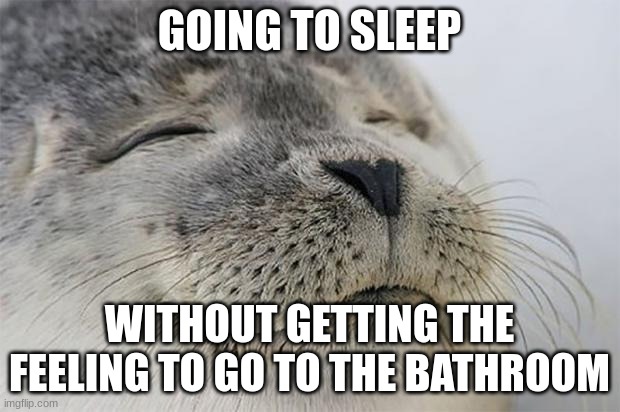 Satisfied Seal | GOING TO SLEEP; WITHOUT GETTING THE FEELING TO GO TO THE BATHROOM | image tagged in memes,satisfied seal | made w/ Imgflip meme maker