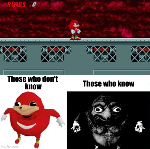 image tagged in sonic exe,knuckles | made w/ Imgflip meme maker