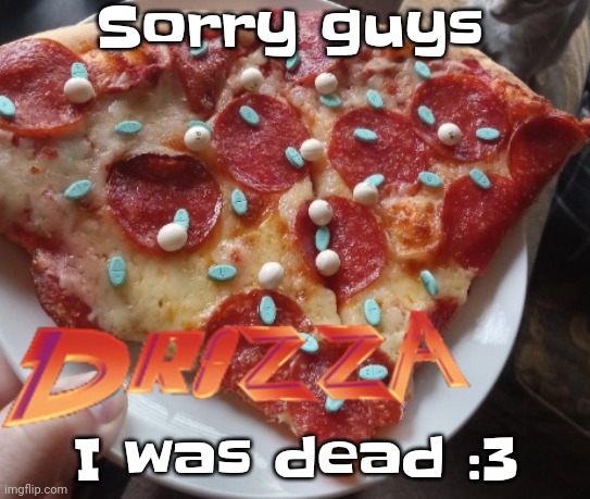 LaLA note: what kinda mexican cartel pizza shit is that | Sorry guys; I was dead :3 | image tagged in drizza | made w/ Imgflip meme maker