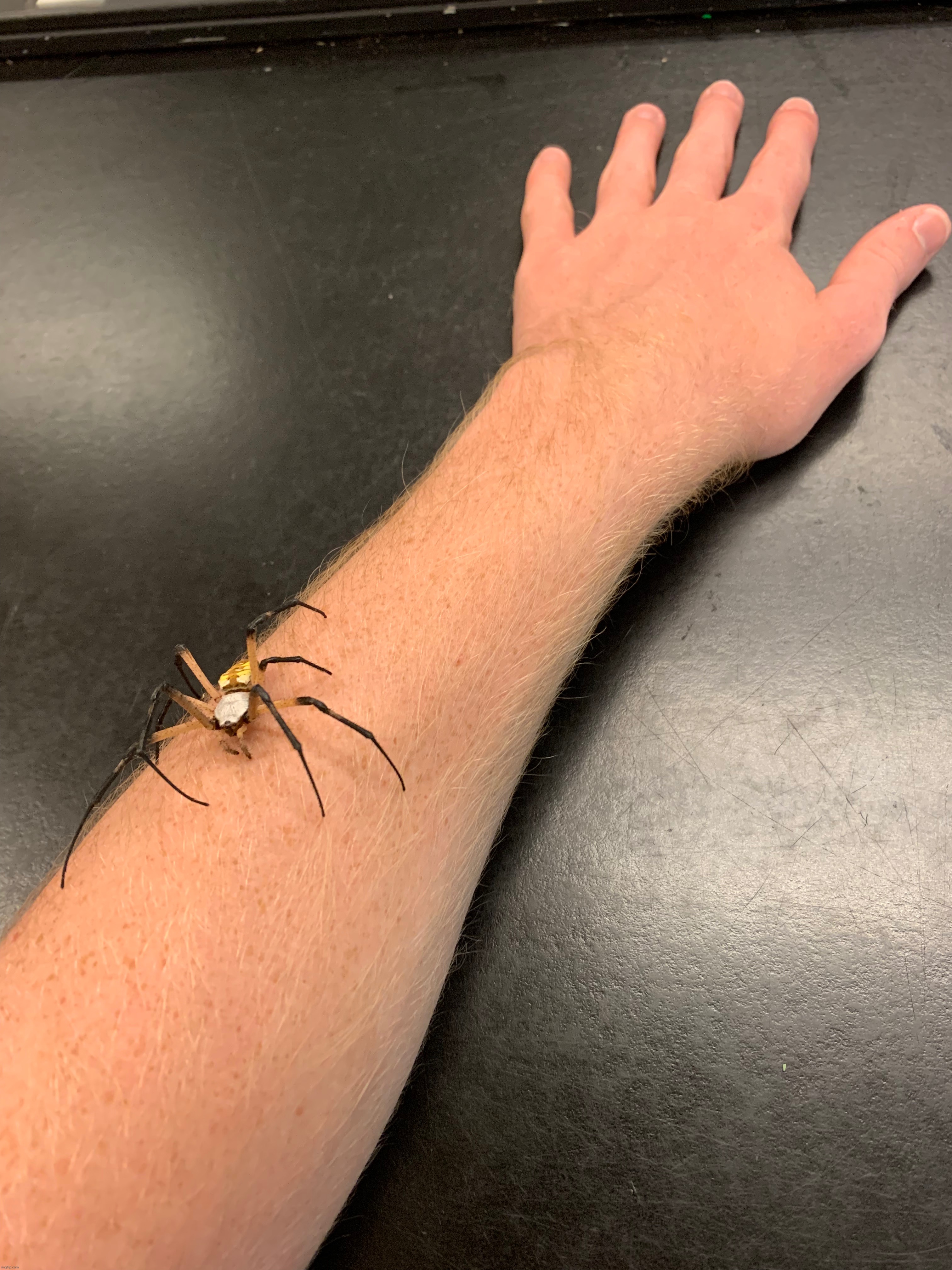 A homie | made w/ Imgflip meme maker