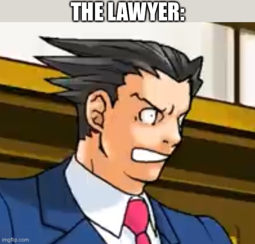 THE LAWYER: | made w/ Imgflip meme maker